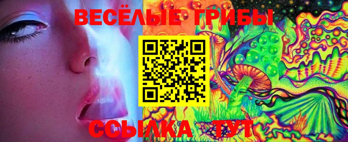 Дятьково  Псилоцибиновые грибы Cubensis  Вход с VPN 